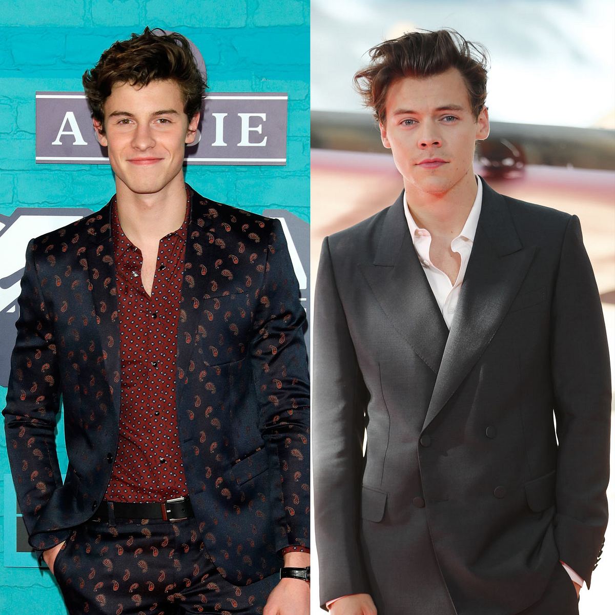 Gibt es etwa bald eine Kollaboration zwischen Shawn Mendes und Harry Styles?