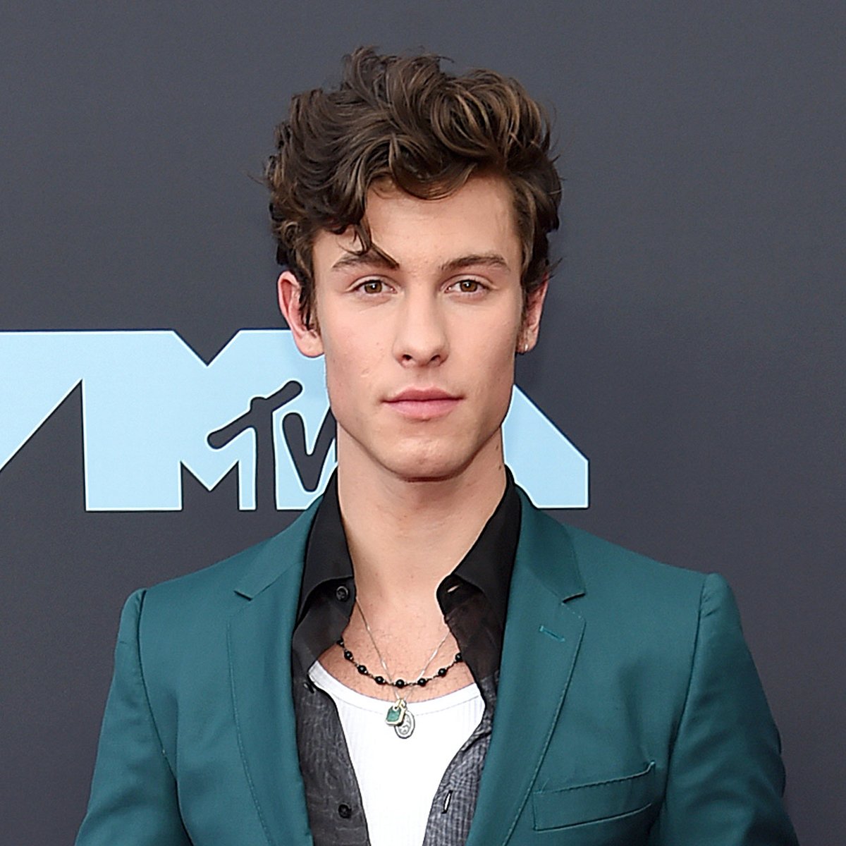 Shawn Mendes hat über 50 Millionen Follower auf Instagram