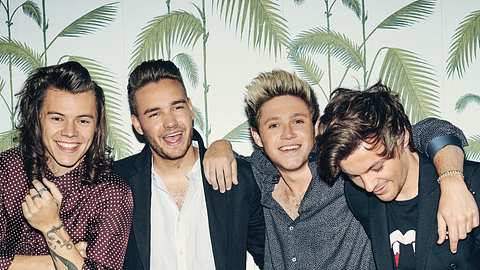 One Direction: Fans bringen alten Song wieder in die Charts - Foto: Sony Music