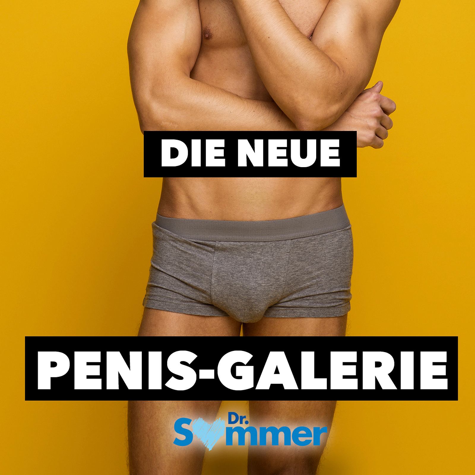 Die neue Penis-Galerie! | BRAVO
