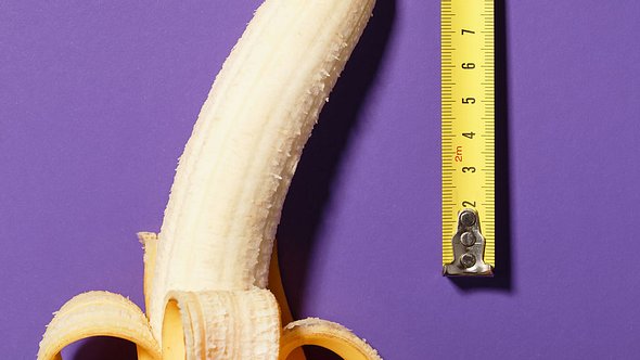 Penis zu klein: Diese Größe ist normal! - Foto: iStock/Aleksandr Grechanyuk