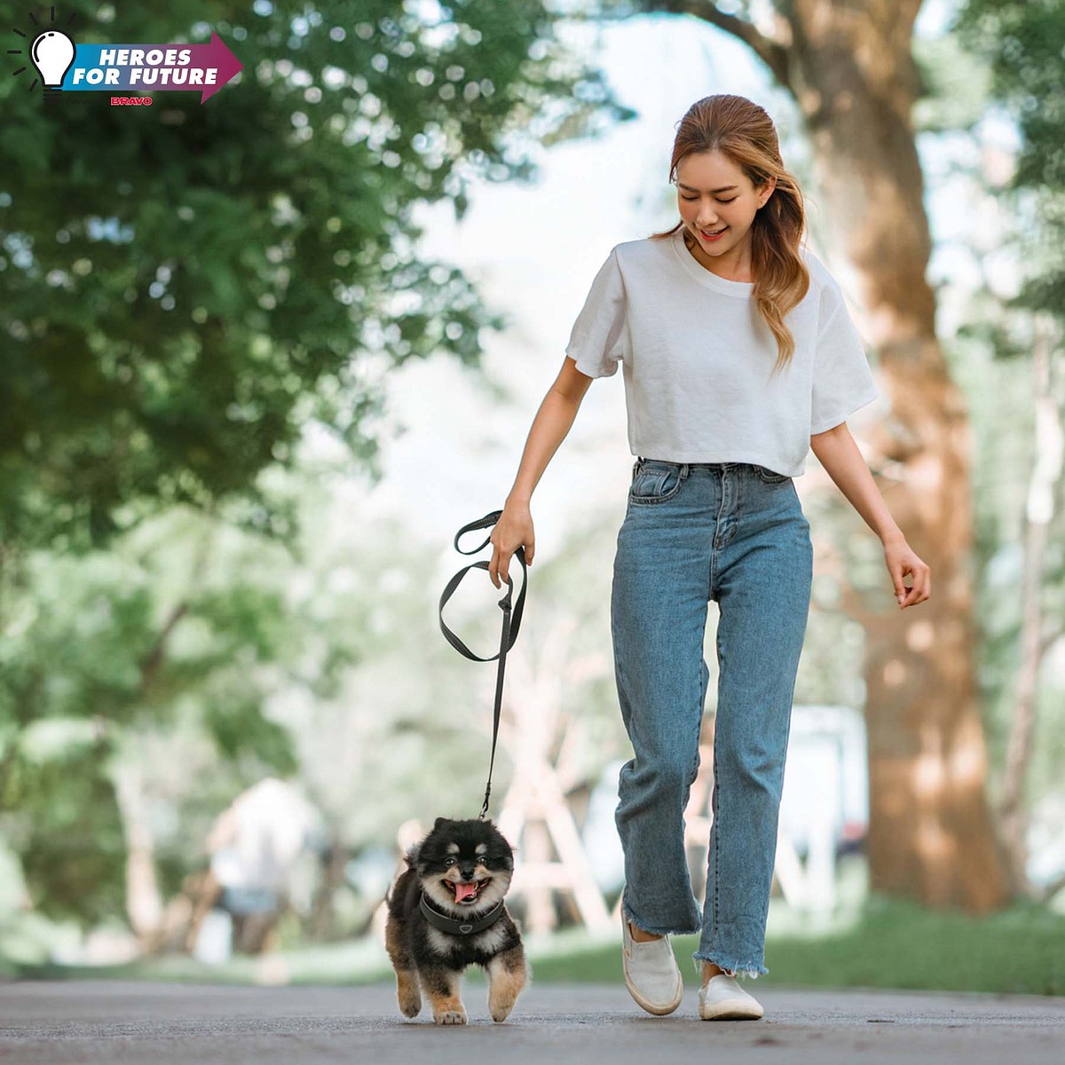 schnelles geld verdienen dog sitter