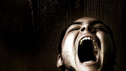 schreo - Foto: iStock