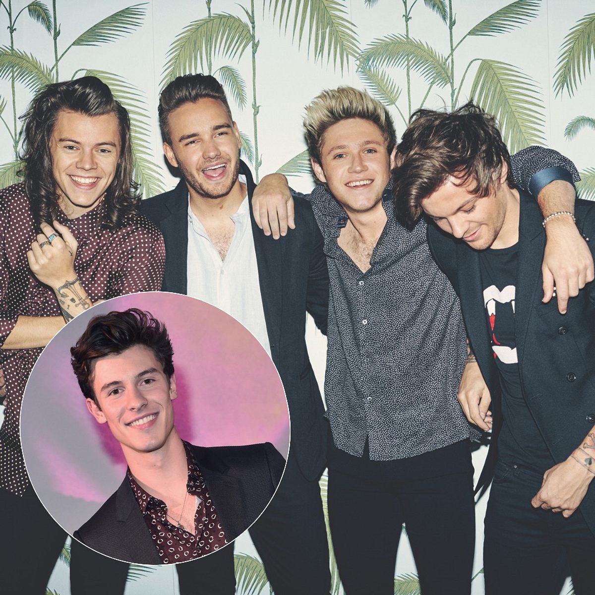 Schafft es Shawn Mendes, One Direction wieder zu vereinen?