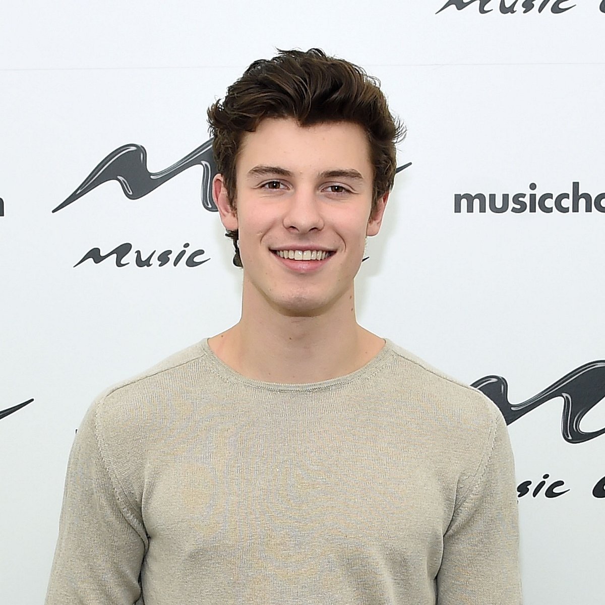 Shawn Mendes: Das bedeuten seine Instagram Bilder