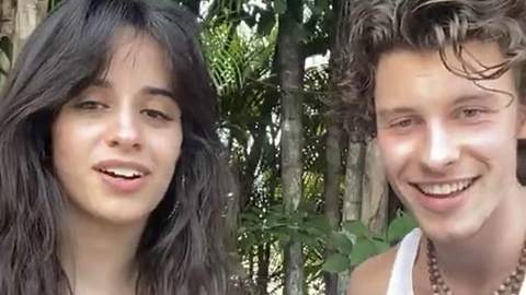 Shawn Mendes & Camila Cabello: Süßer Liebes-Stream aus der Quarantäne - Foto: Instagram/@shawnmendes