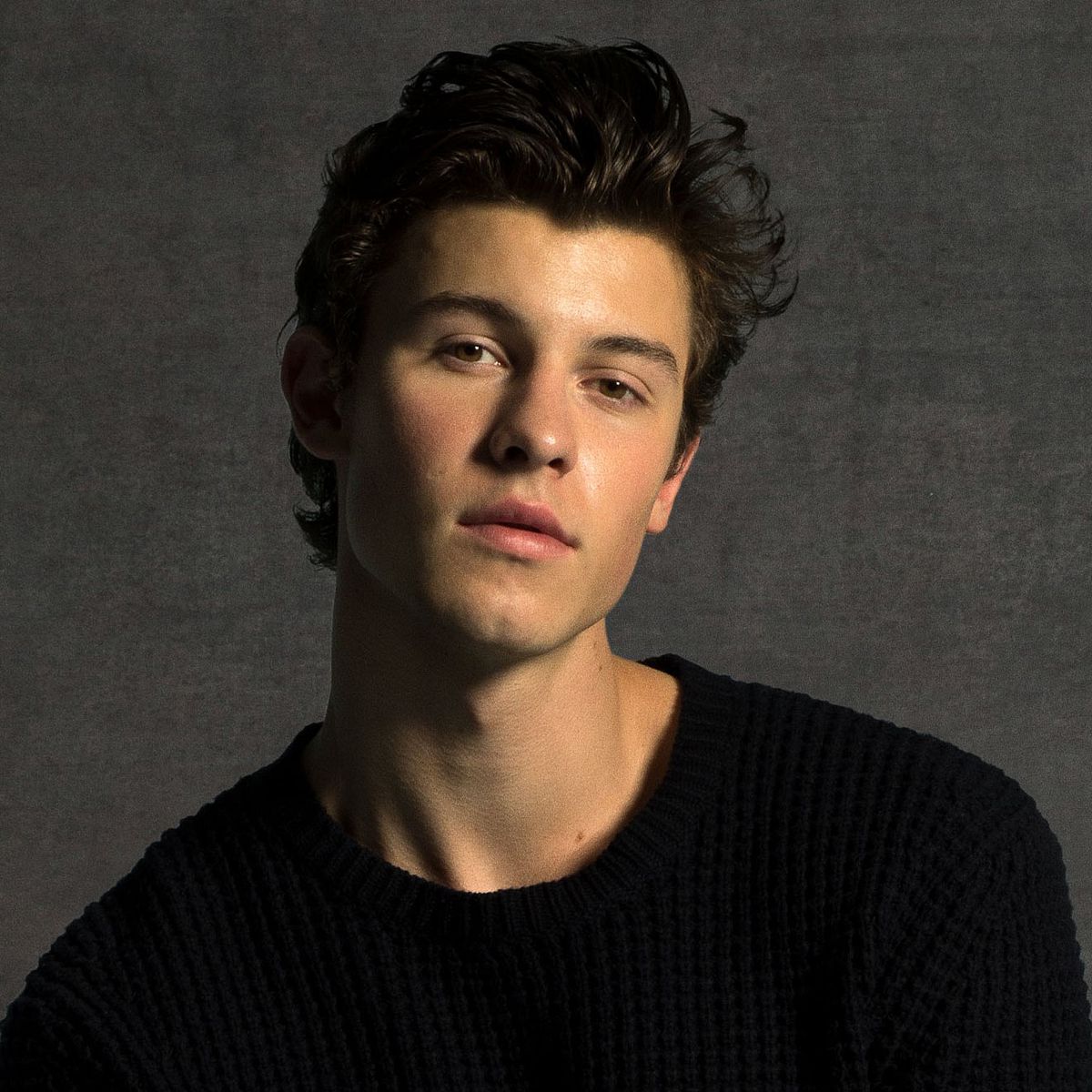 Shawn Mendes hat auf Instagram über 31 Millionen Abonnenten