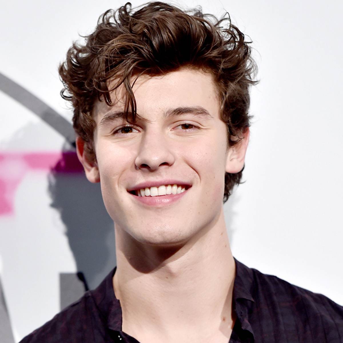 Shawn Mendes: Das sind seine Pläne!