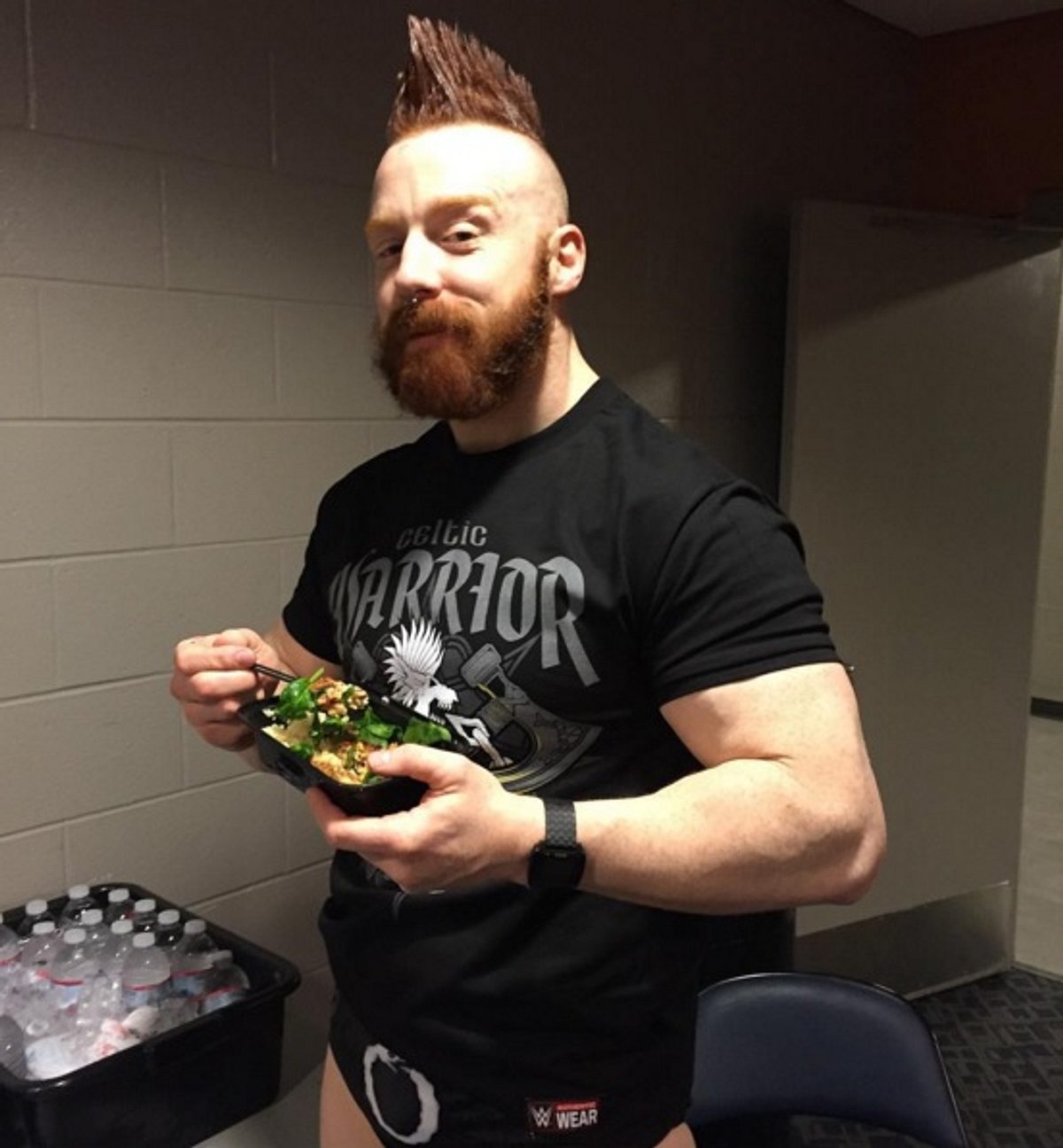 WWE privat Sheamus