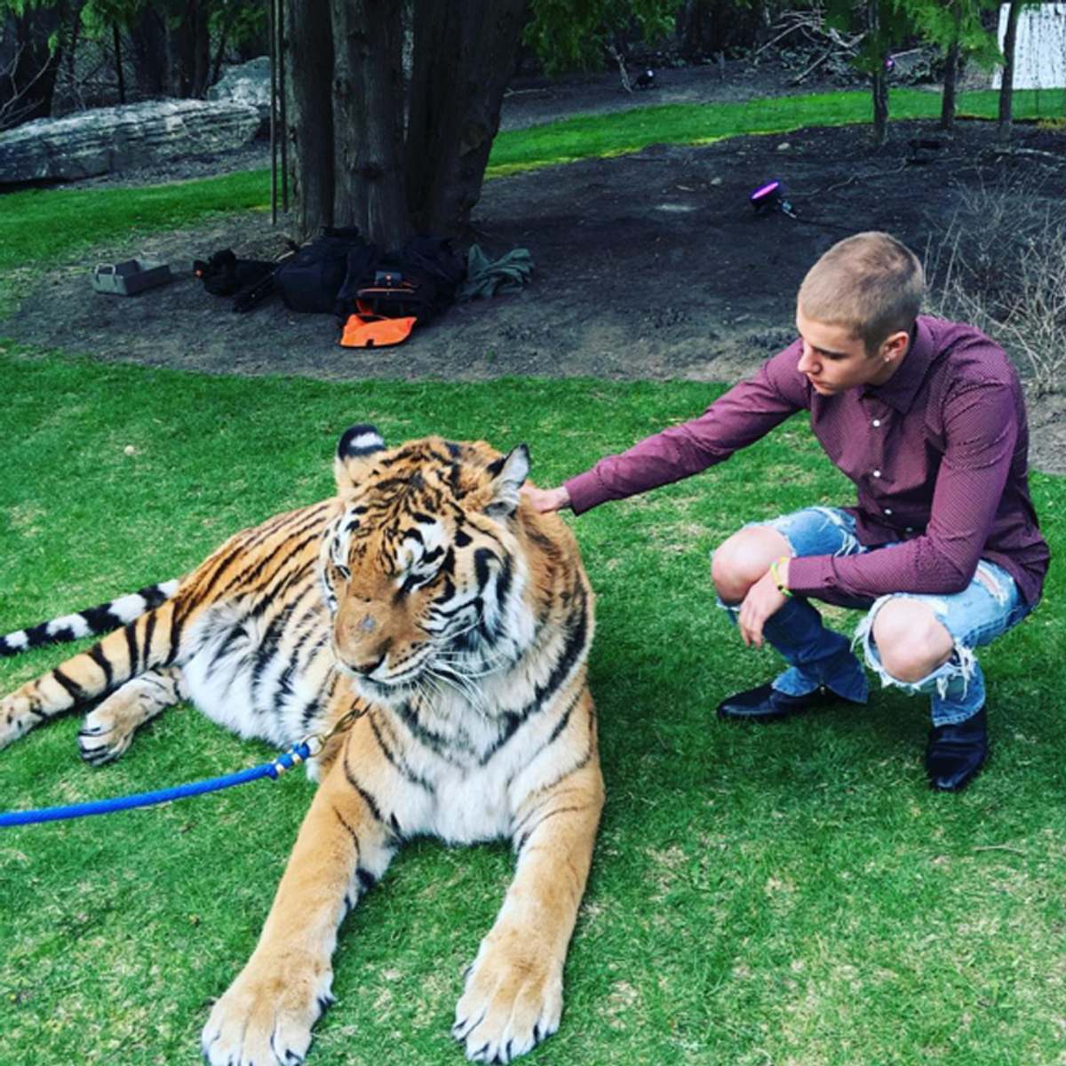 Justin Bieber erntet Shitstorm wegen einem Tiger