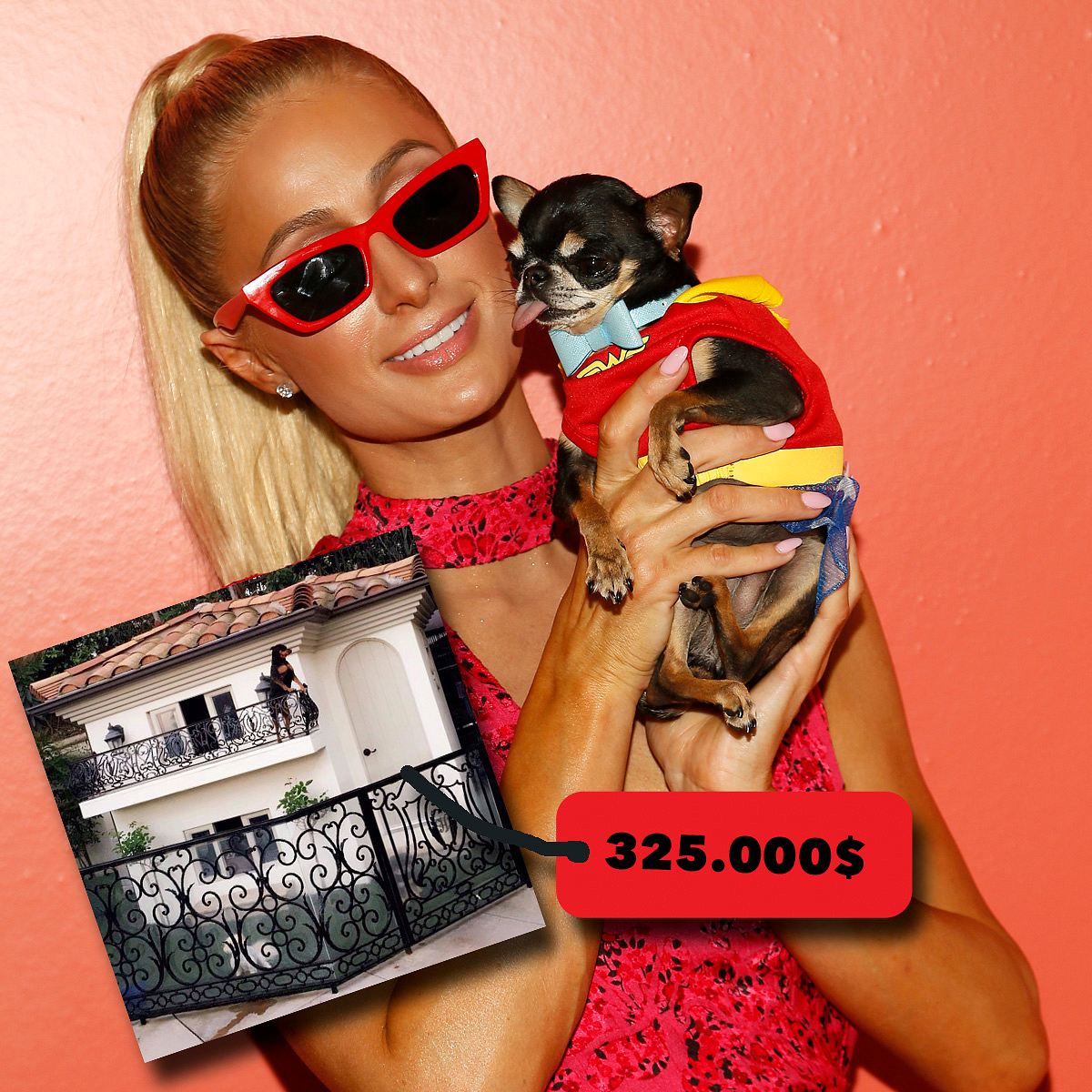 Shopping-Sünden: Paris Hiltons 325k Hundehaus