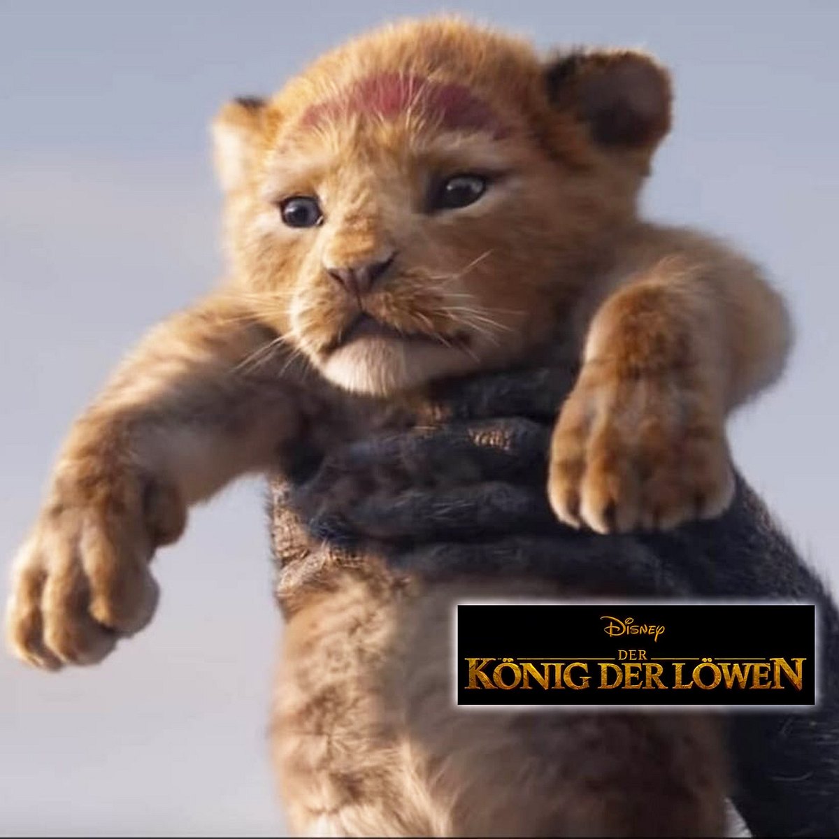 So toll wird die Neuverfilmung von Der König der Löwen.