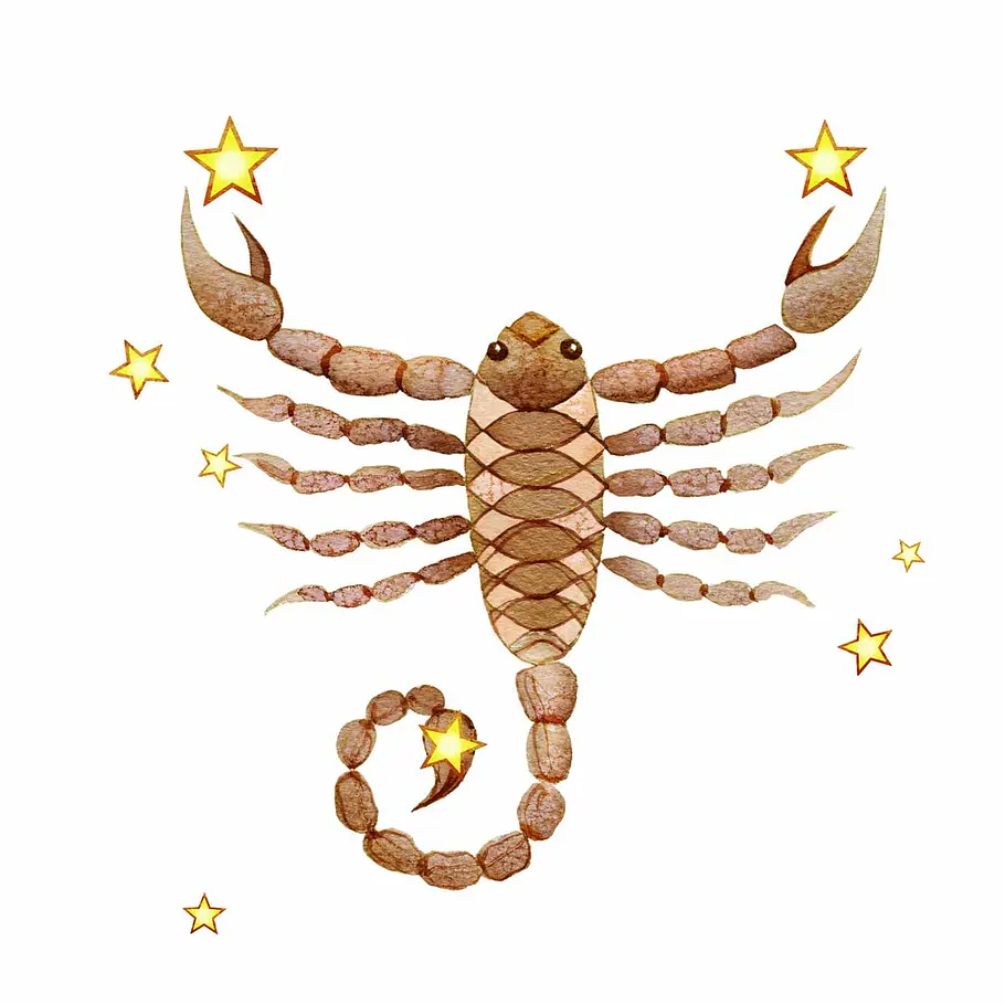 Skorpion