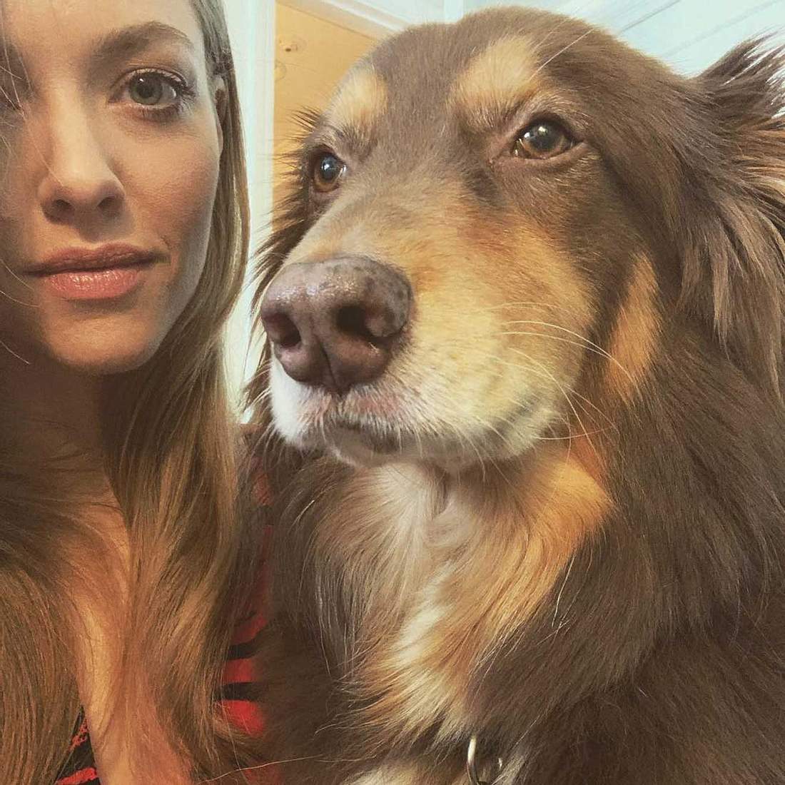 So heißen die Haustiere der Stars auf Instagram Amanda Seyfried