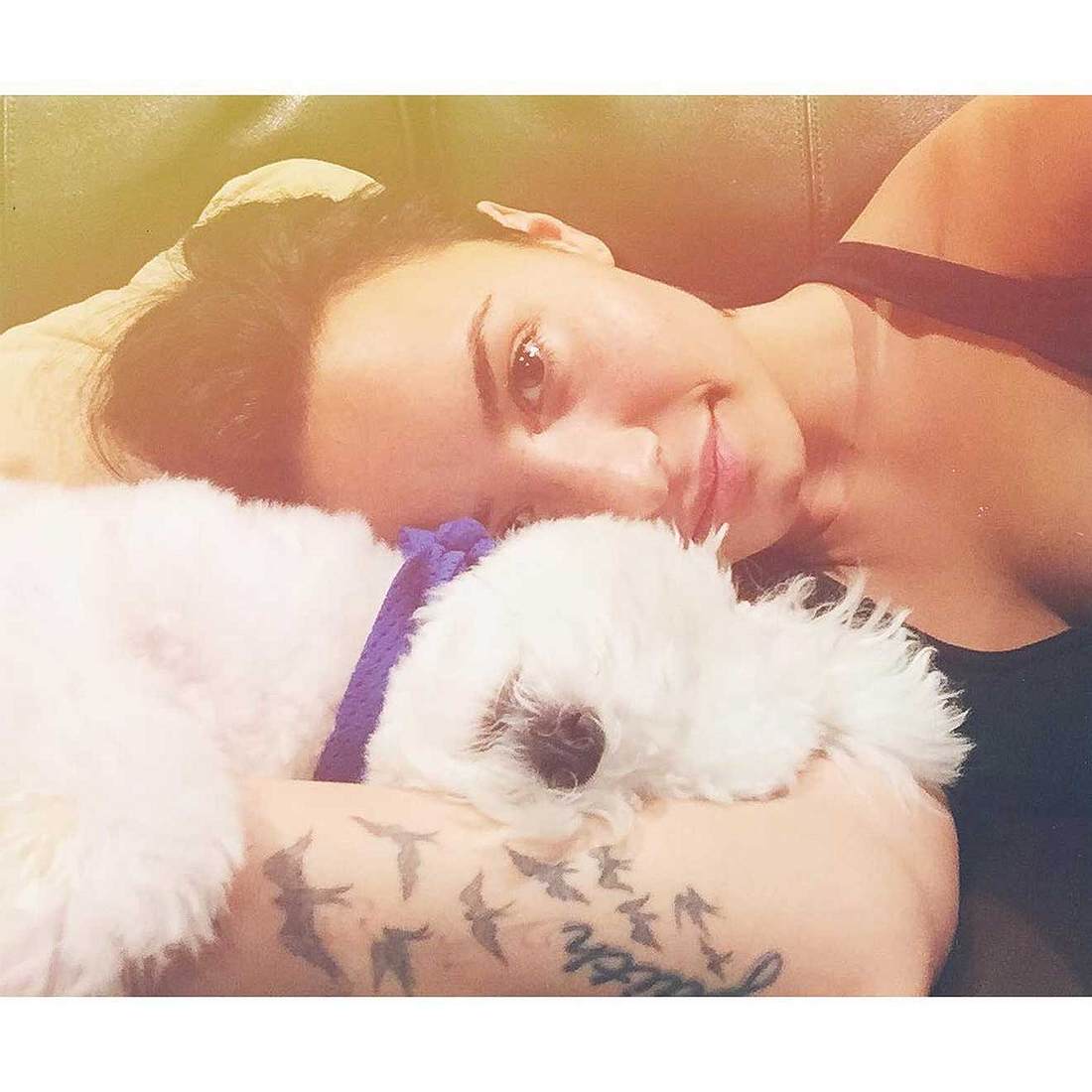 So heißen die Haustiere der Stars auf Instagram Demi Lovato