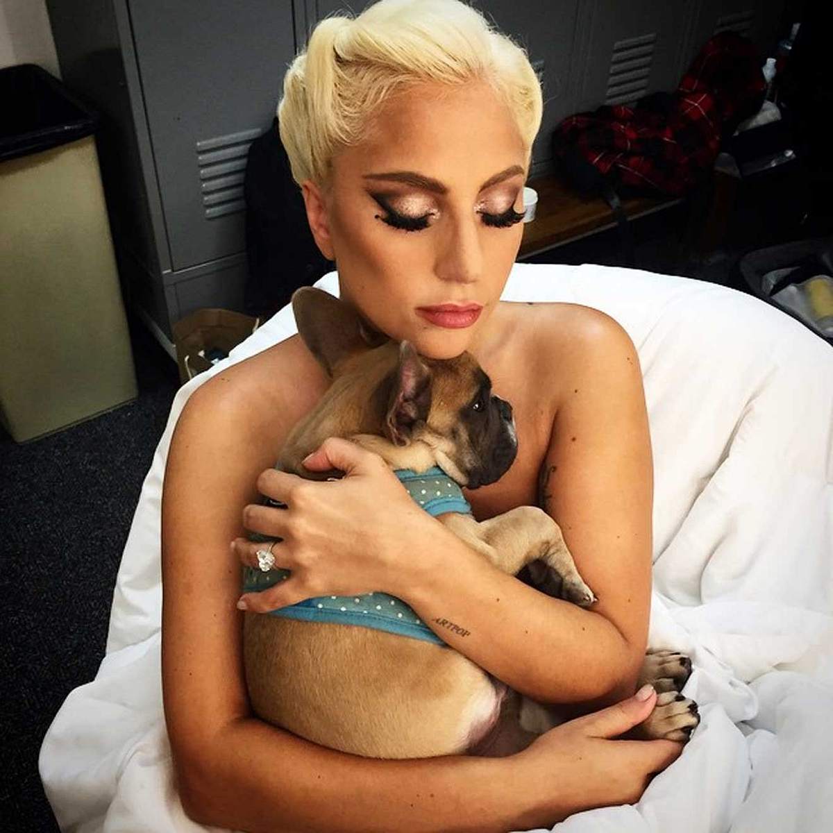 So heißen die Haustiere der Stars auf Instagram Lady Gaga