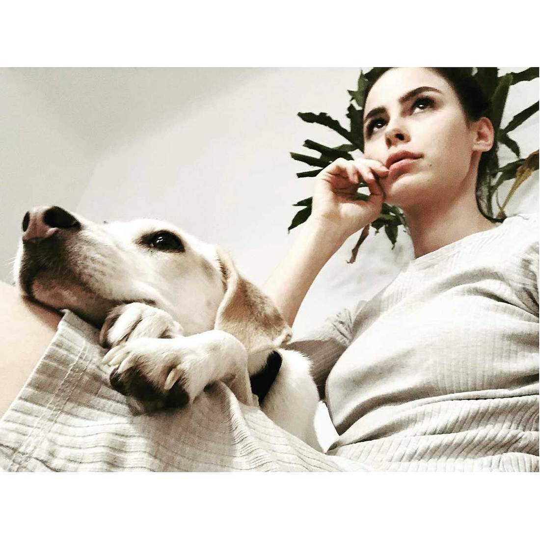 So heißen die Haustiere der Stars auf Instagram Lena Meyer Landrut