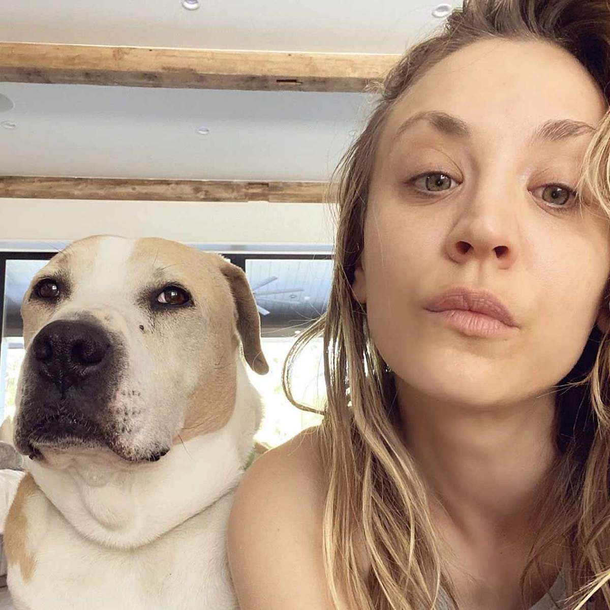 Stars und ihre Hunde Kaley Cuoco