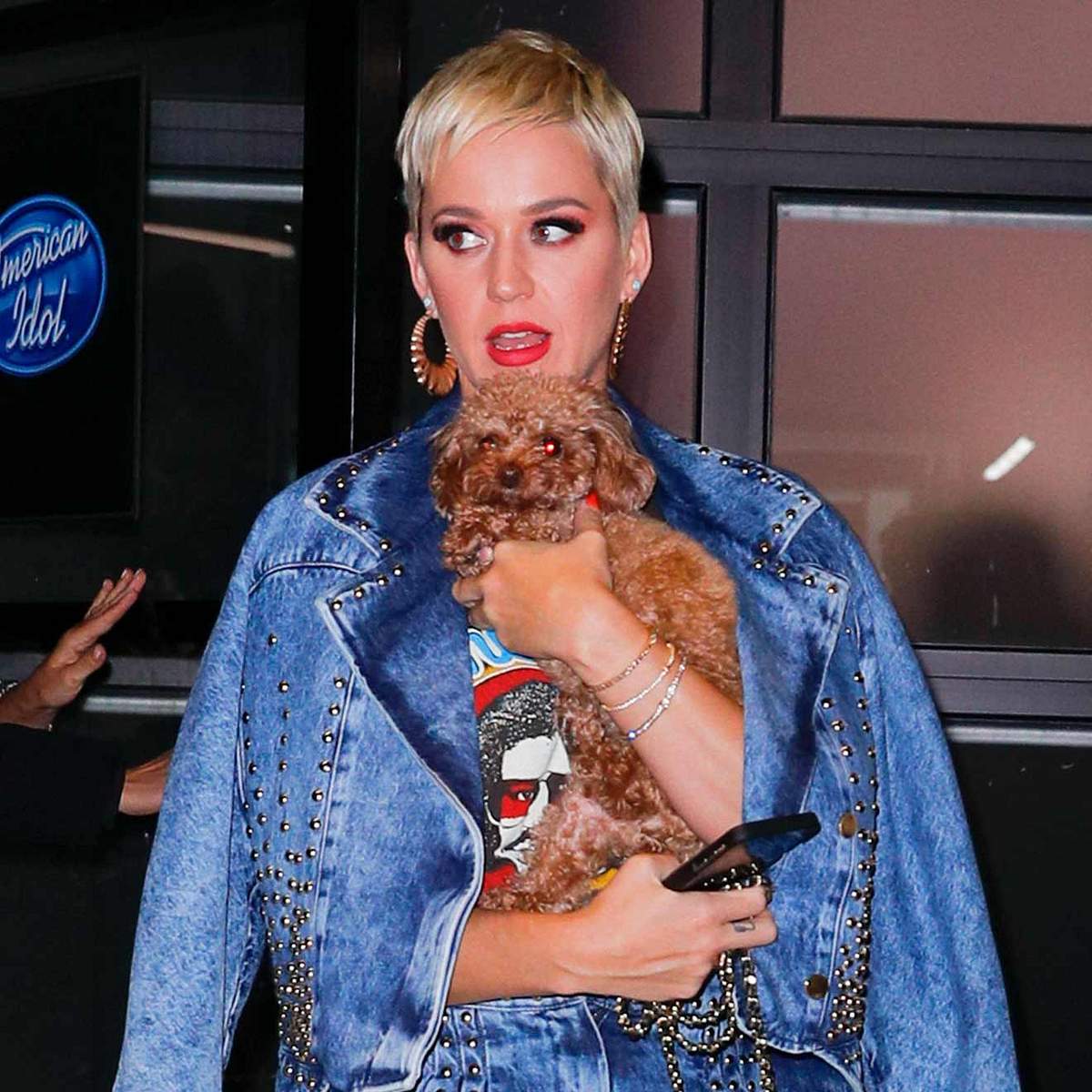 Stars und ihre Hunde Katy Perry
