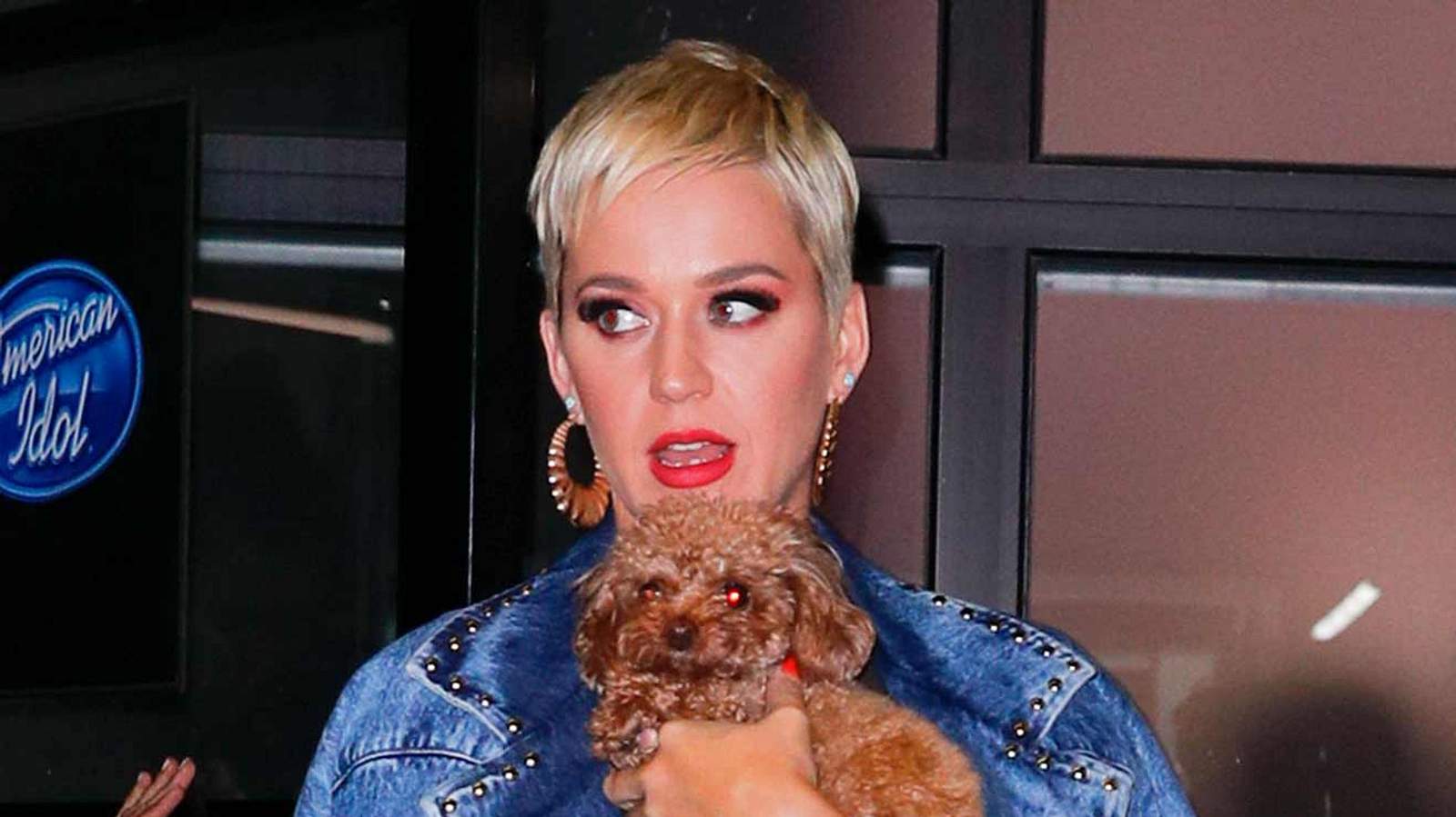 Katy Perry udn | Stars und ihre Hunde BRAVO