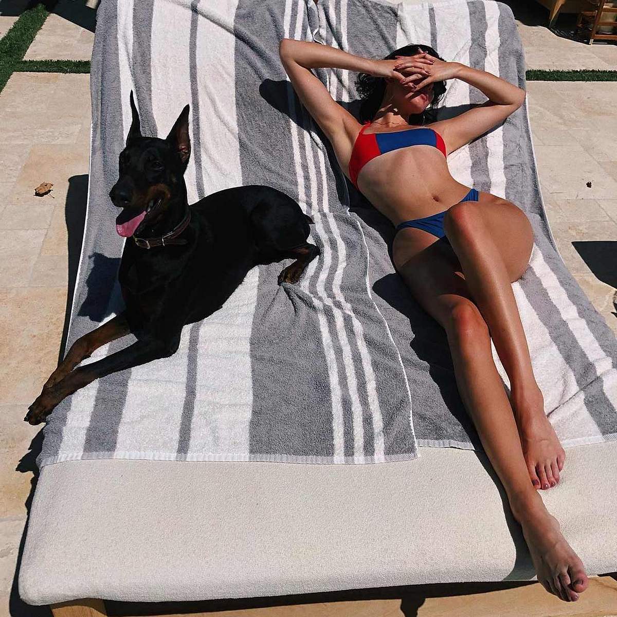 Stars und ihre Hunde Kendall Jenner