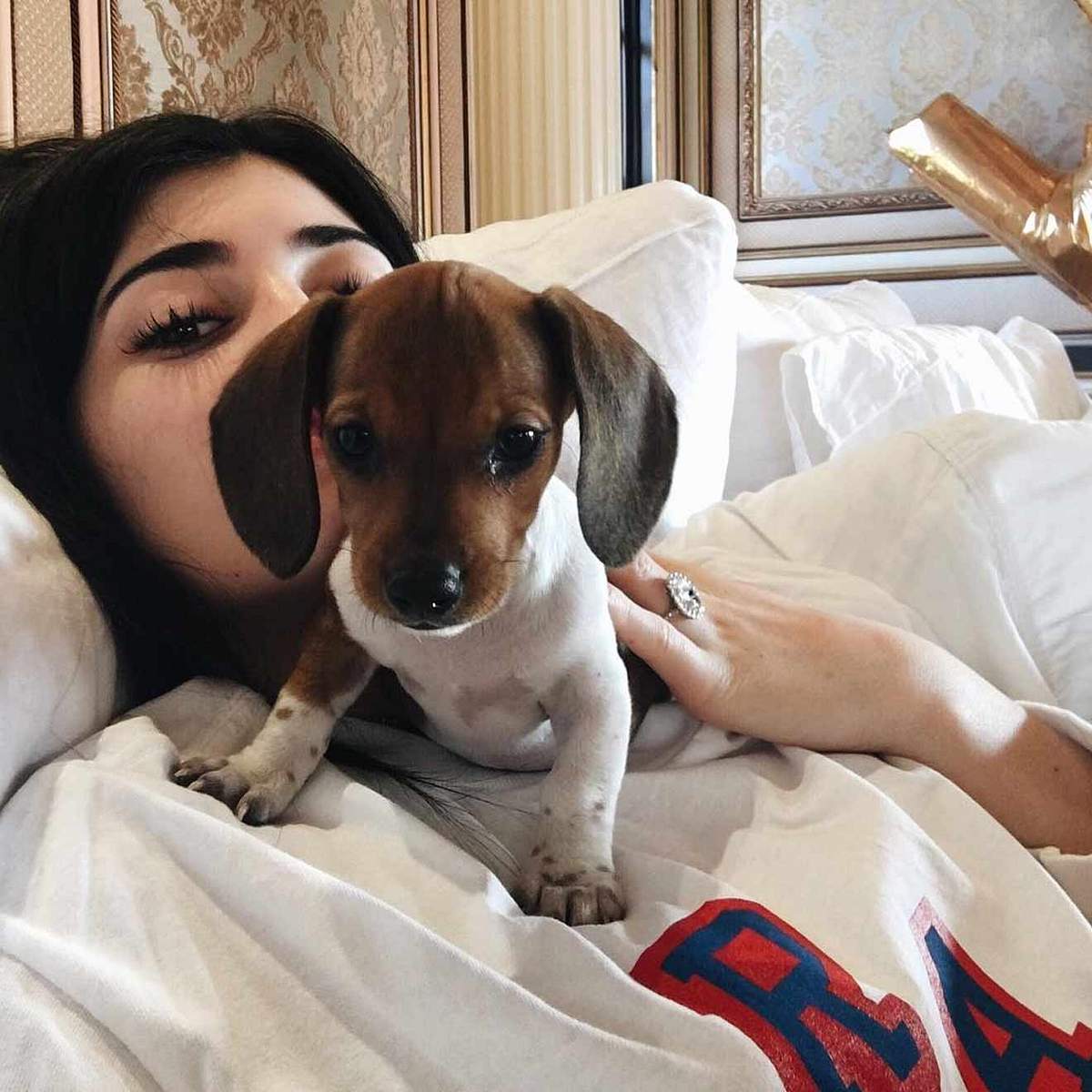 Stars und ihre Hunde Kylie Jenner
