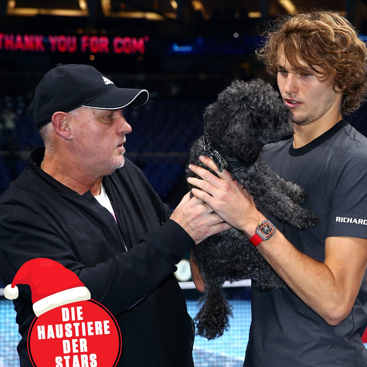 Zverev jubelt mit Hund Lövik