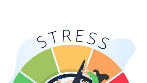 Stress ist äußerst schlecht für unsere Gesundheit. - Foto: Mykyta Dolmatov / istock