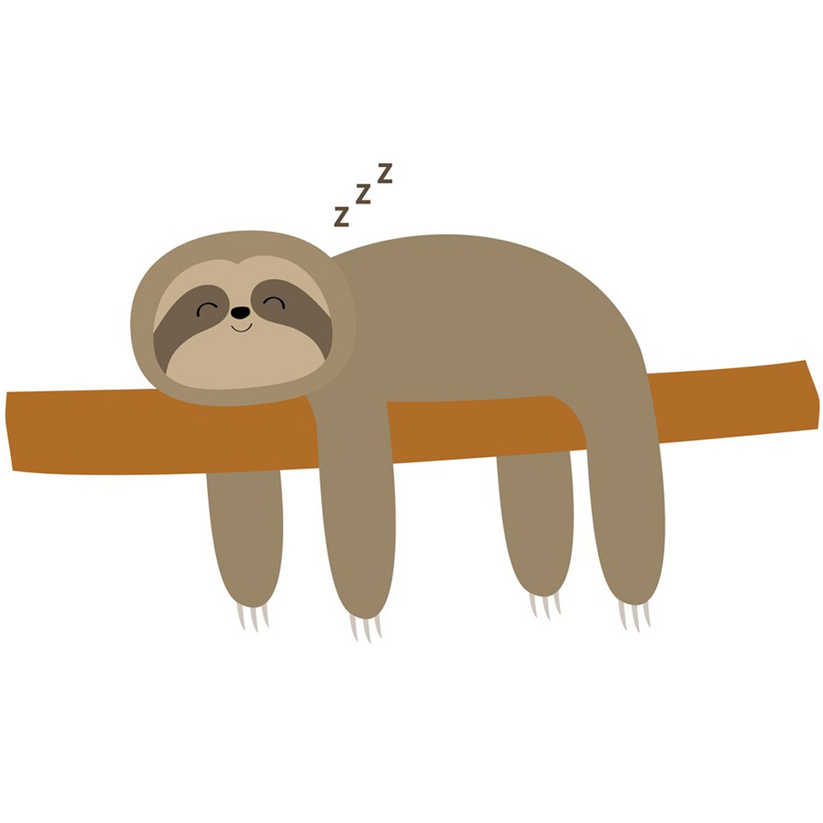 Ленивец спящий на ветке