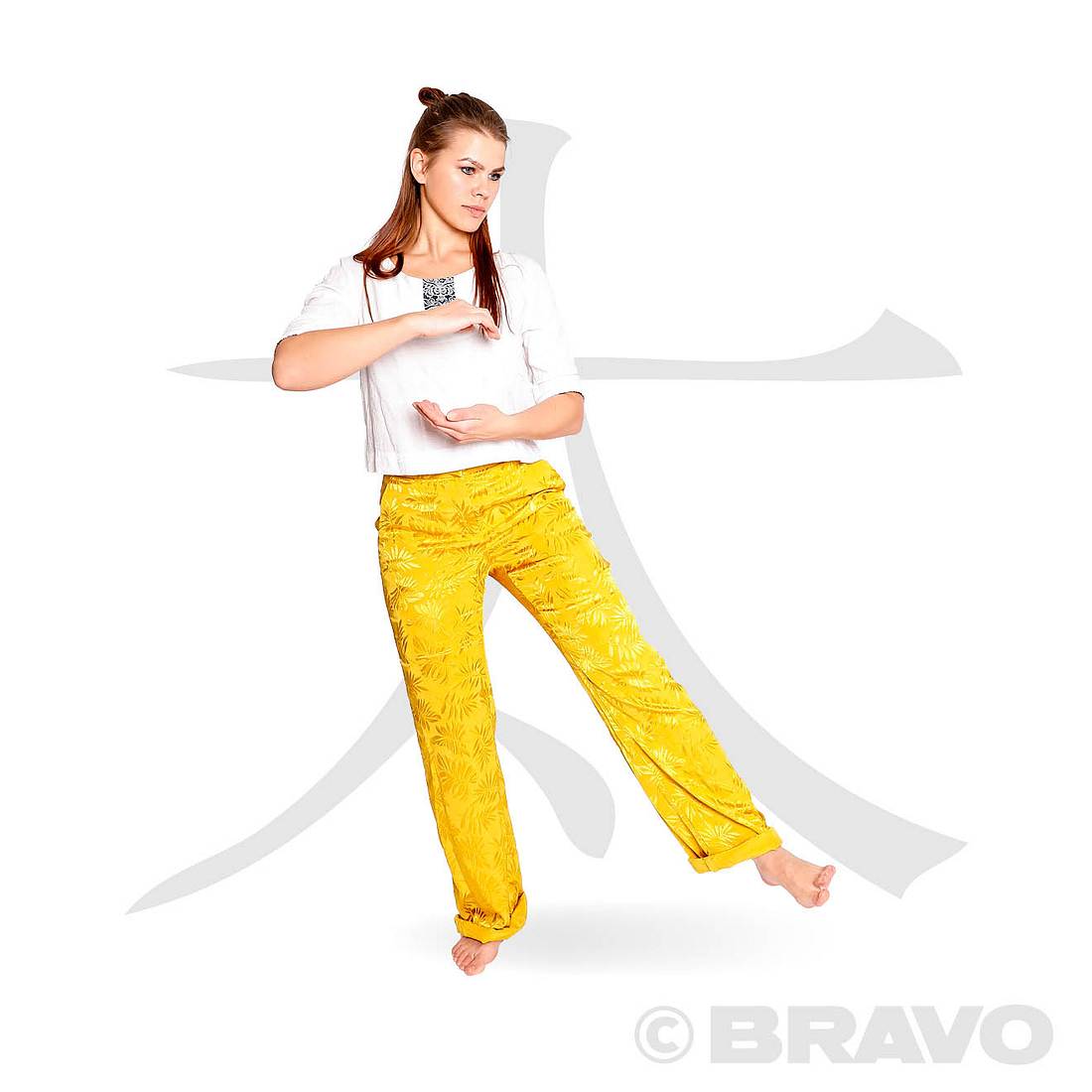 Tai-Chi Qigong Übung Bogenschritt links