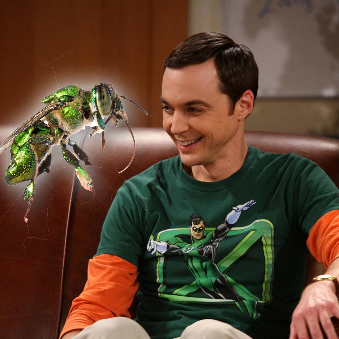 „The Big Bang Theory“ Sheldon-Fakten: Die BAZINGA-Biene