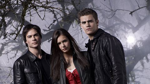 The Vampire Diaries: Das war für Damon und Bonnie geplant - Foto: Warner Bros.