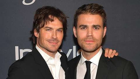 The Vampire Diaries Serien-Fehler: Damon und Stefan haben nur begrenztes Vampir-Wissen