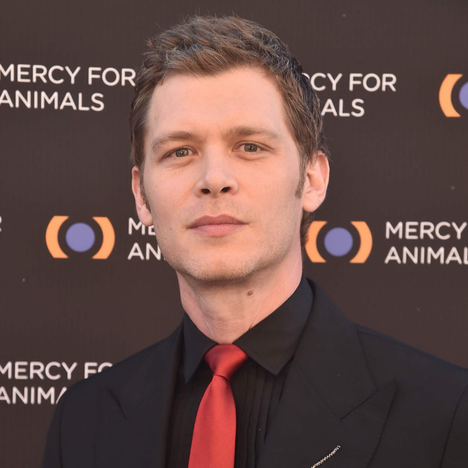 "The Vampire Diaries" Serien-Detail: Joseph Morgan enthüllt, was die
