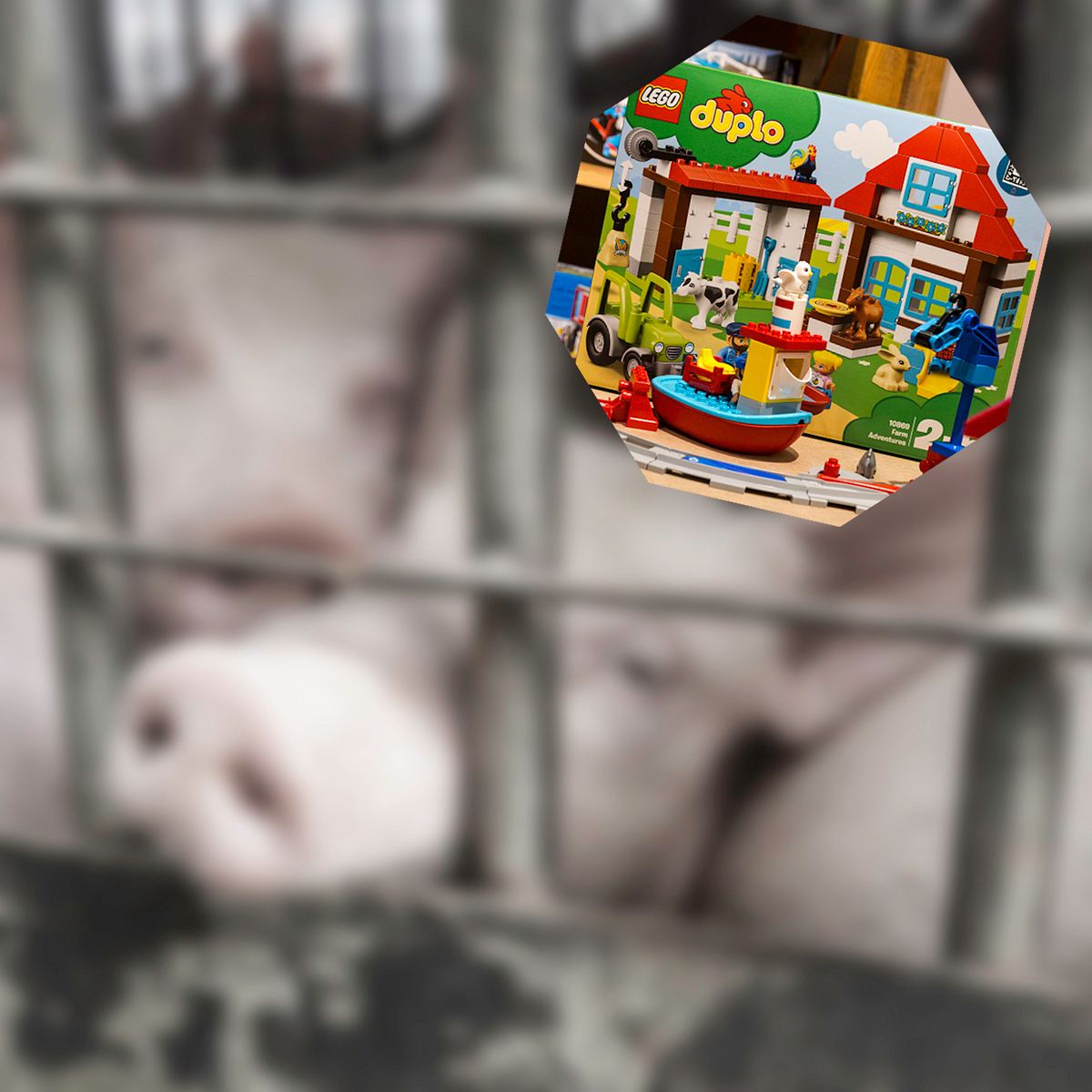 Tierschutz fordert neuen Namen für Lego Bauernhof: Blutiges Geschäft!