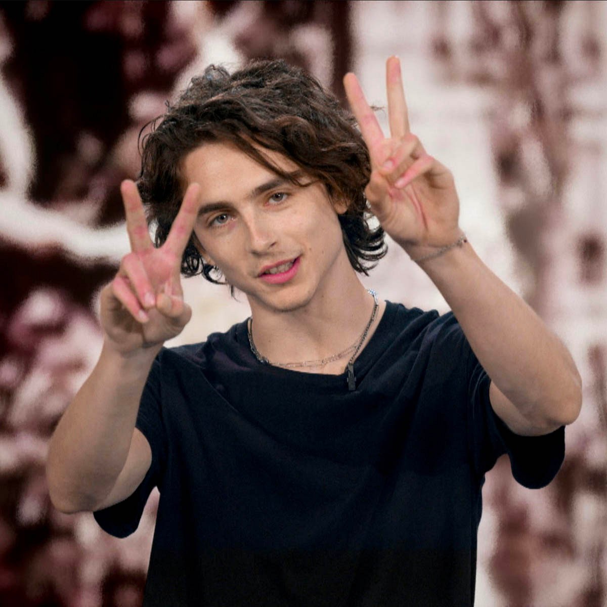 Timothee Chalamet bald in einem Disney-Sequel?