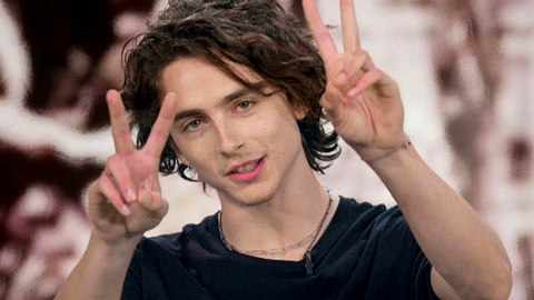 Timothee Chalamet bald in einem Disney-Sequel? - Foto: Getty Images / Staff