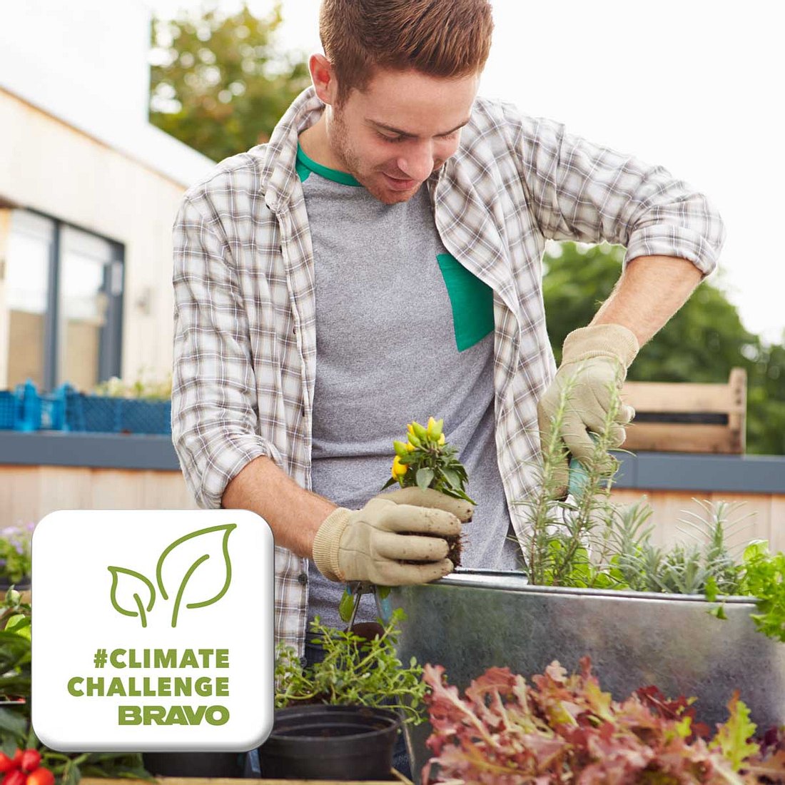 8 Gründe für Urban Gardening