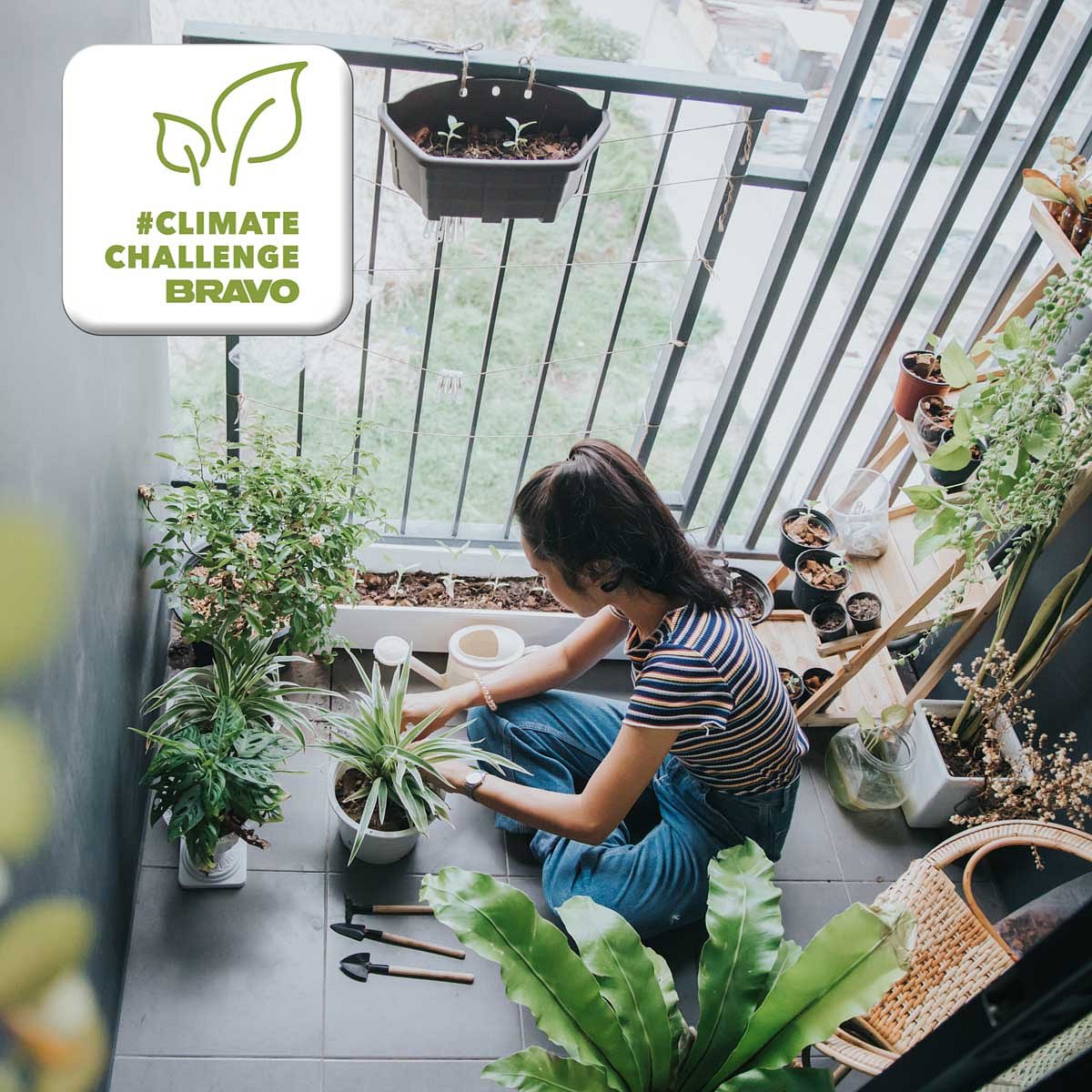 Urban Gardening auf dem Balkon: Die besten Tipps