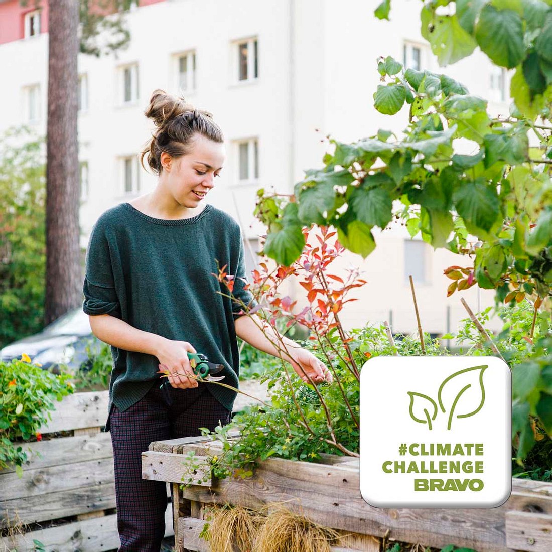 Was ist Urban Gardening?