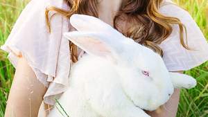 Vegane Kosmetik: Beauty-Produkte ohne Tierversuche - Foto: stock.adobe.com/ Tetiana/ Daria
