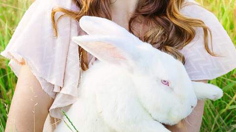 Vegane Kosmetik: Beauty-Produkte ohne Tierversuche - Foto: stock.adobe.com/ Tetiana/ Daria