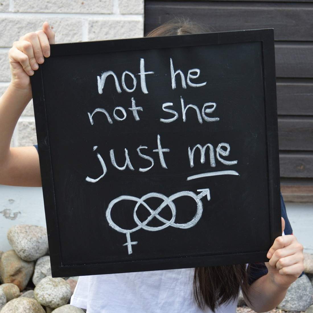 Vulva transgender