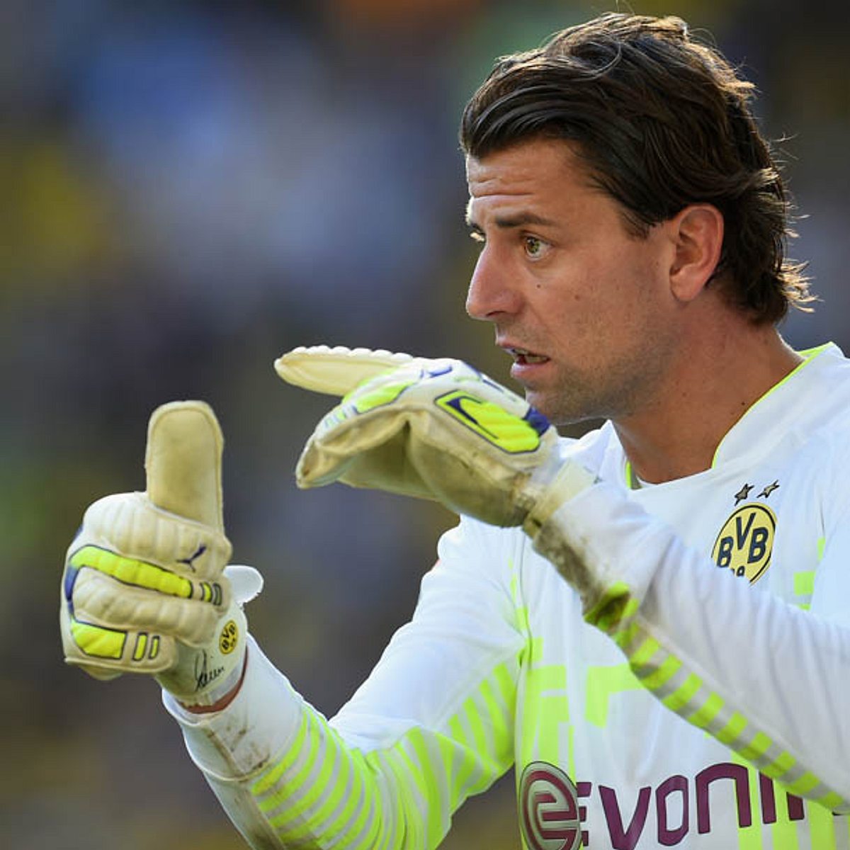 weidenfeller