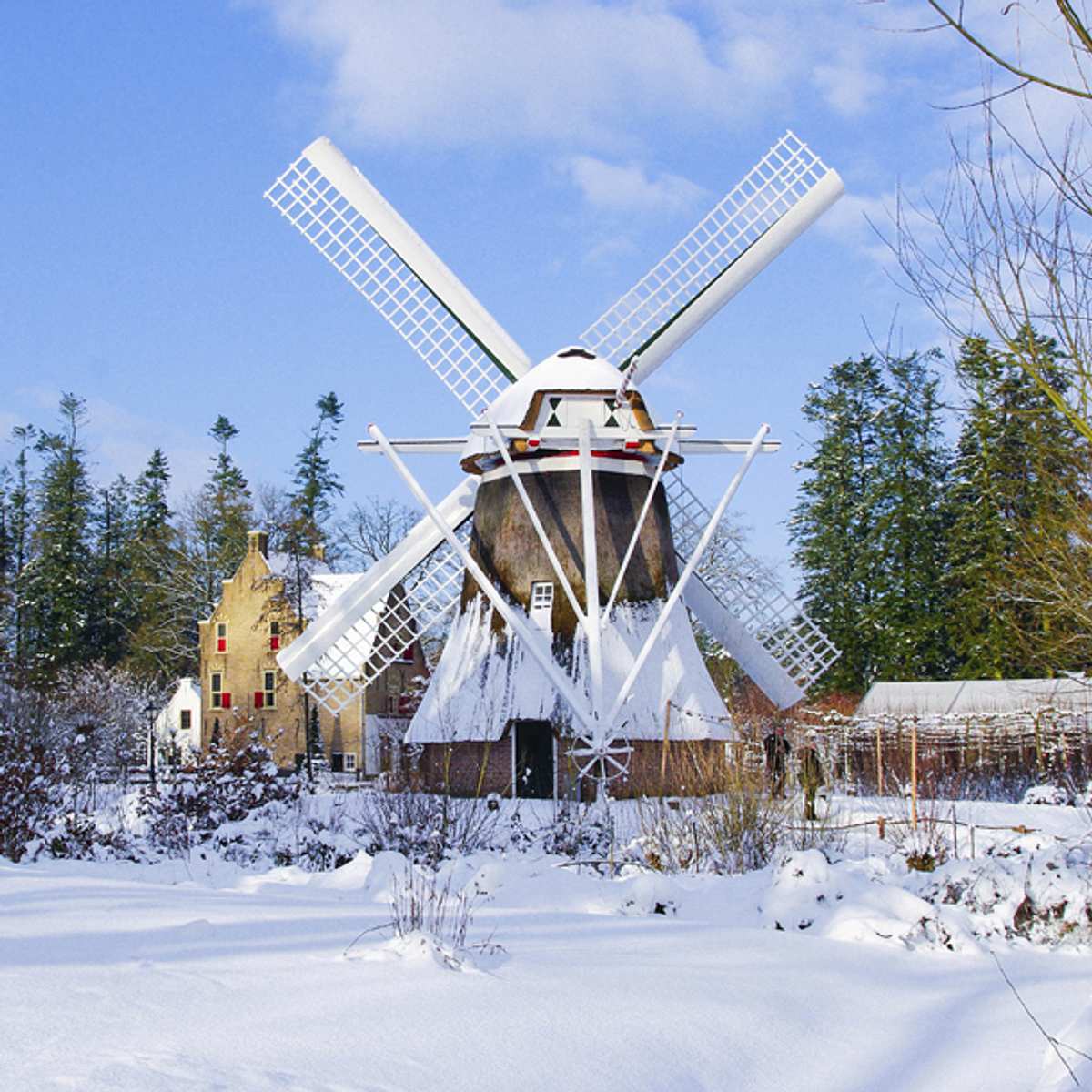 Hartelijke Kerstgroeten & Zalig Kerstfeest!