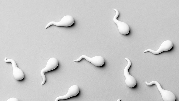 wie lange überleben spermien - Foto: ADragan/Getty Images/iStockphoto