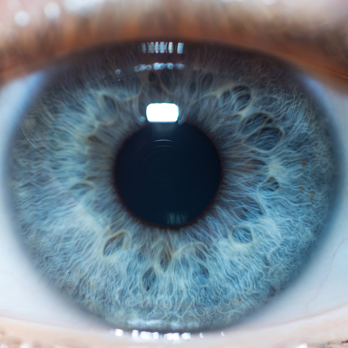 Wissenschaftler entdecken: Menschen mit blauen Augen sind alle verwandt