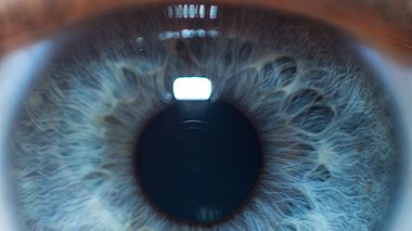 Wissenschaftler entdecken: Menschen mit blauen Augen sind alle verwandt - Foto: Radu Bighian / iStock