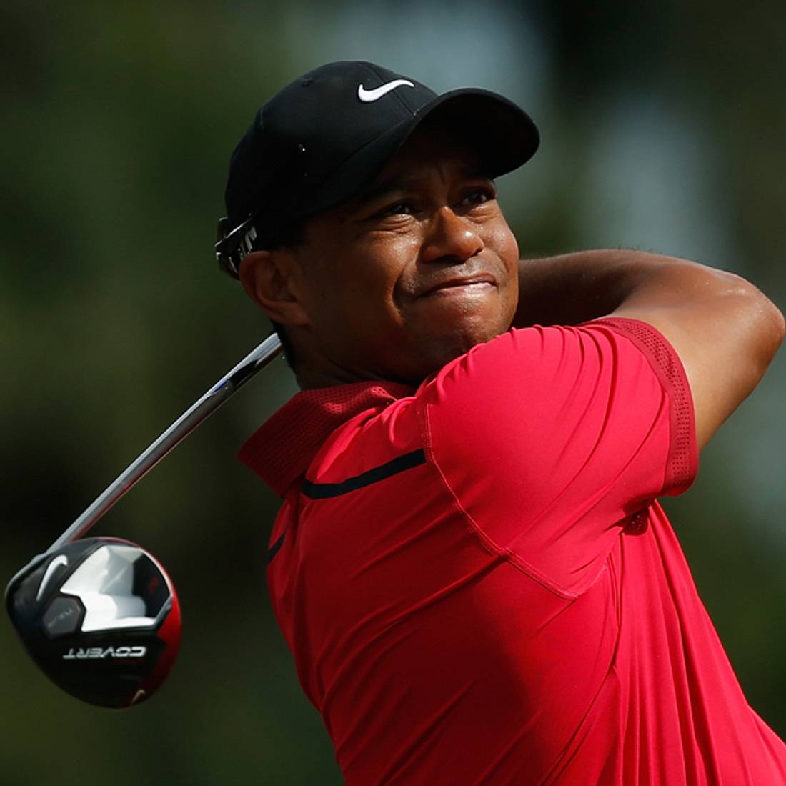 woods
